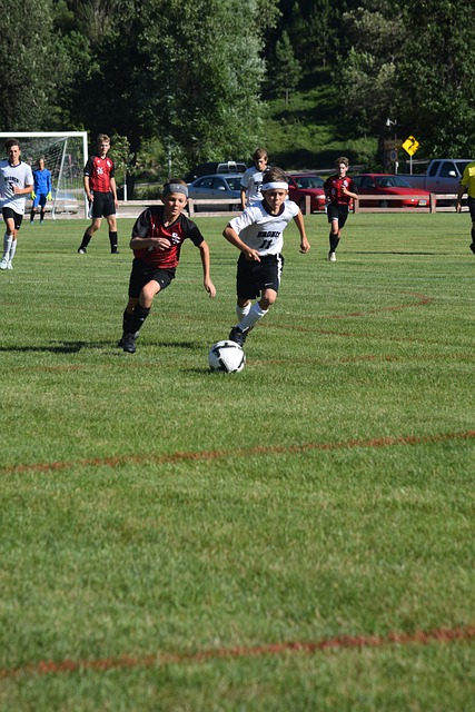 其中不乏提 其中不乏提