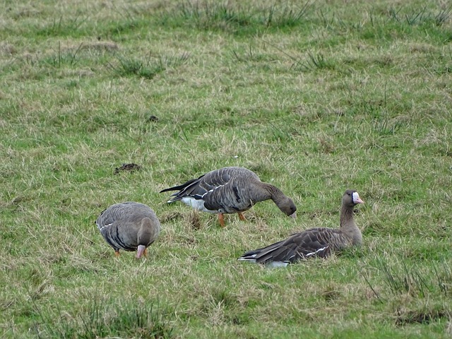 析每一段距 析每一段距