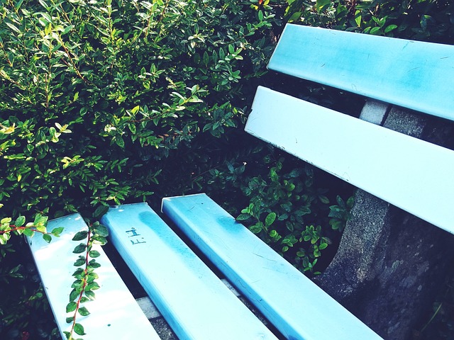 家俱乐部的 家俱乐部的