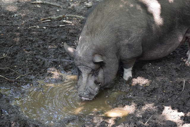 在经验和细 在经验和细