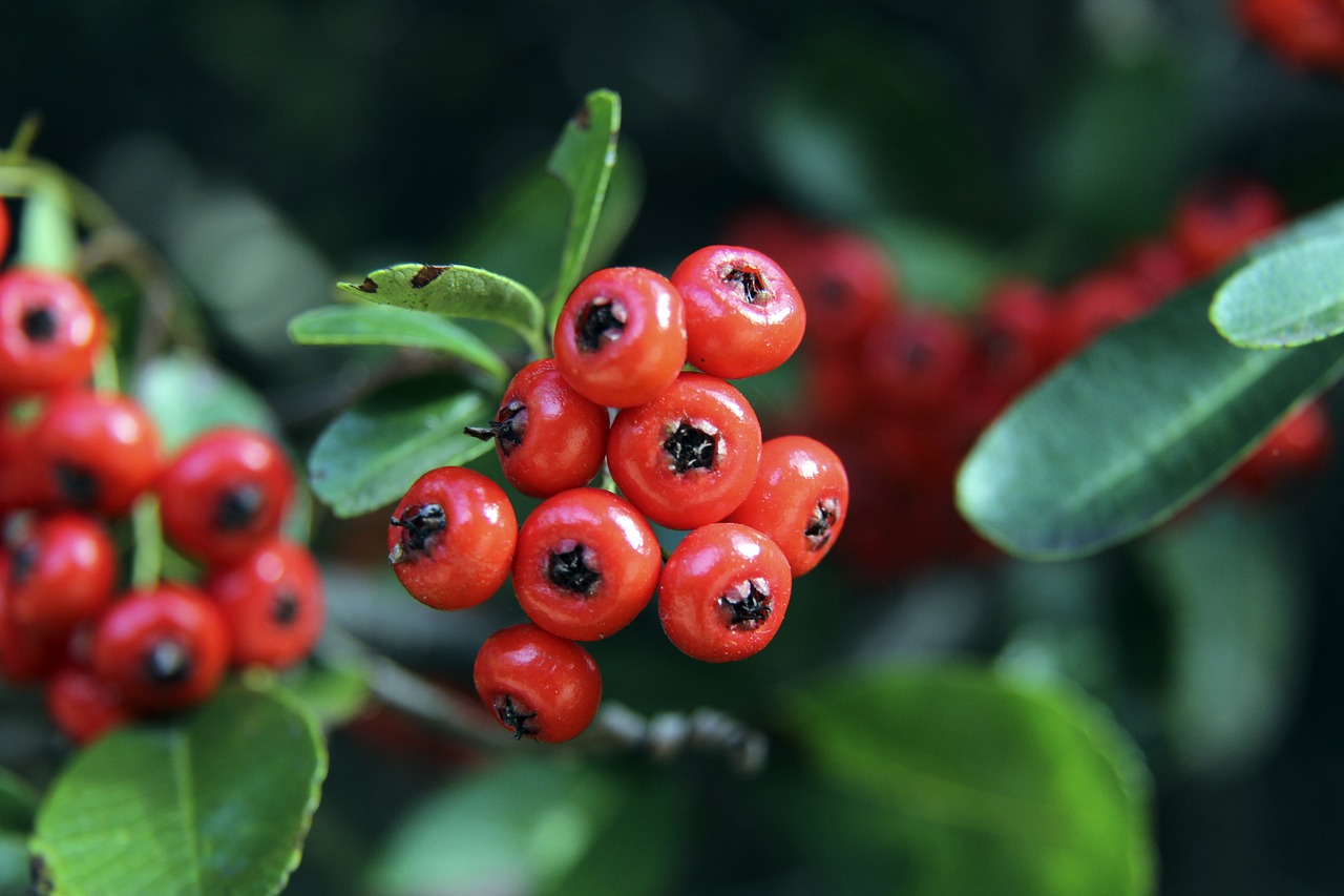 小的涟漪 小的涟漪