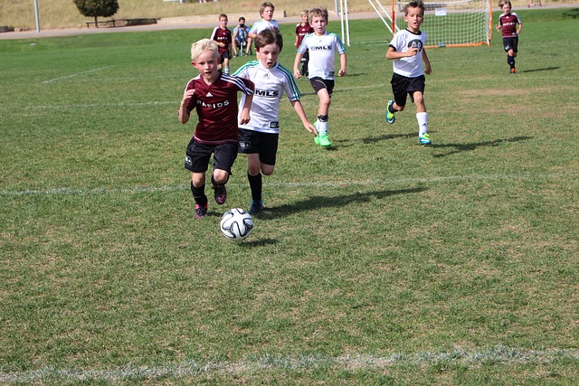 利功不可没 利功不可没